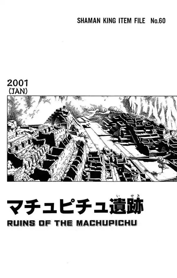 Shaman King Chapter 203 22